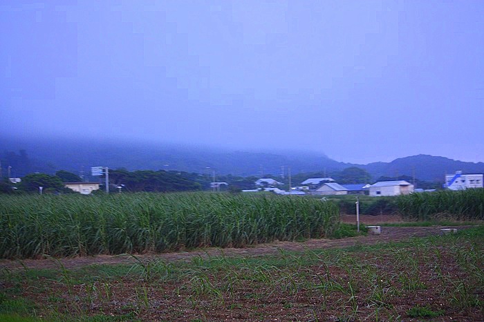 b0288942_97549.jpg