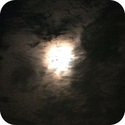 月_e0189351_13373660.jpg