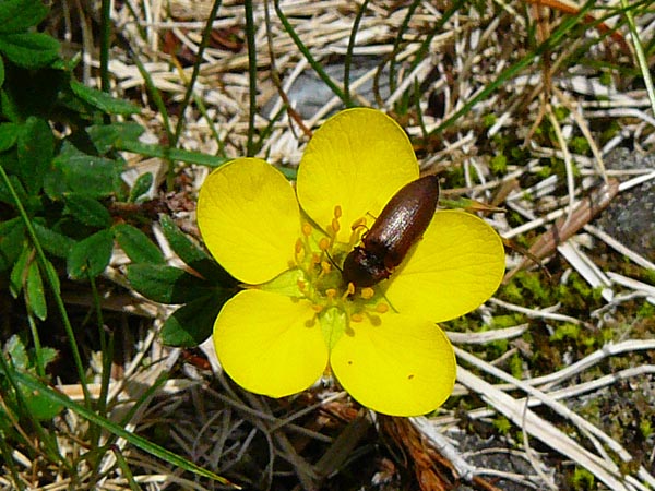 c0045352_1334364.jpg