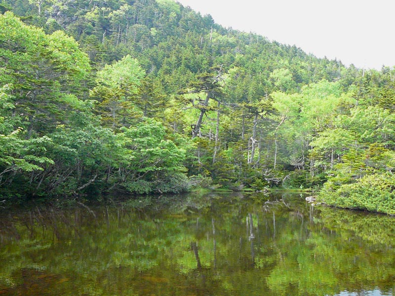 c0045352_13352511.jpg