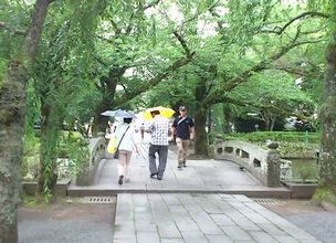 第拾九　三嶋大社　静岡県三島市鎮座_a0057057_19344499.jpg