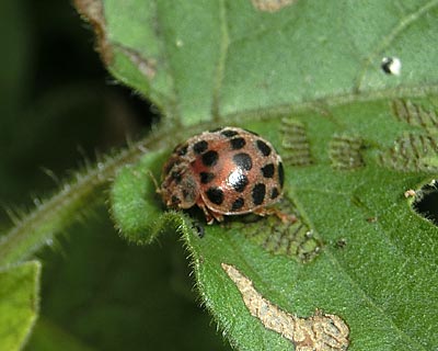 e0035757_00151964.jpg