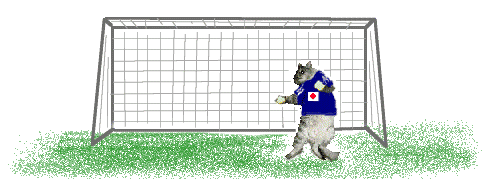 <2014年7月16日>サッカーW杯2014(ブラジル大会)総括レビュー:【前編】_c0119160_12415989.gif