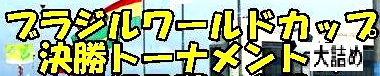 <2014年7月16日>サッカーW杯2014(ブラジル大会)総括レビュー:【前編】_c0119160_14151944.jpg