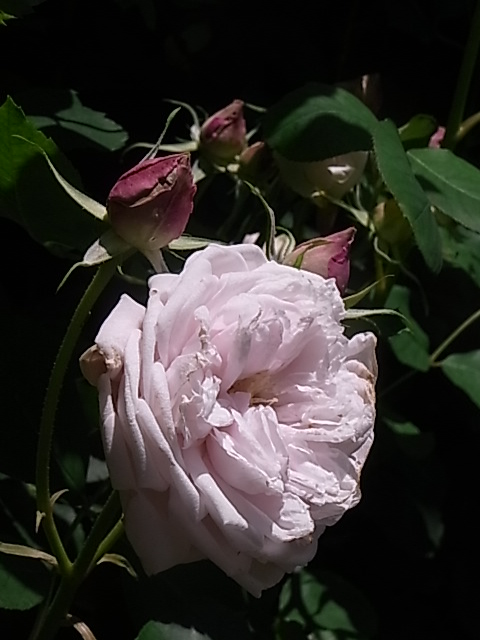 e0017562_2210455.jpg