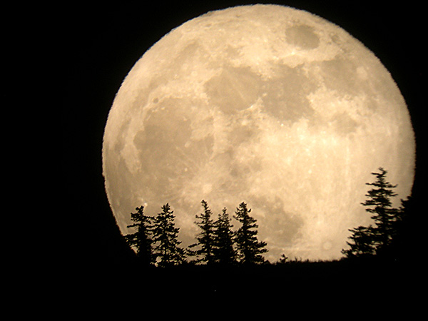 Super Moon_c0188393_119441.jpg