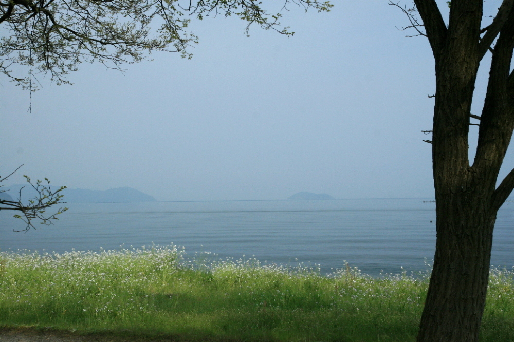 滋賀県知事選挙_b0155395_22361627.jpg