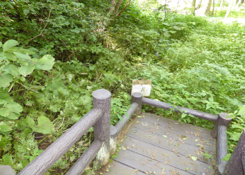 c0125996_1725774.jpg