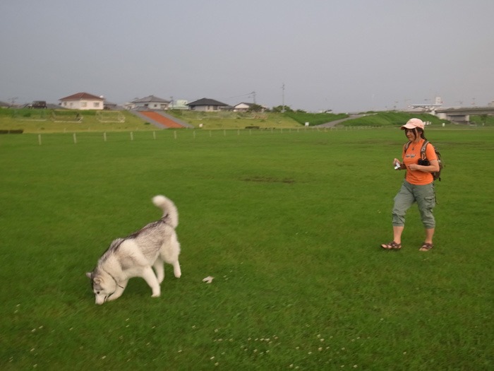 やっぱりネコが好き (*^_^*)_c0049299_2256464.jpg