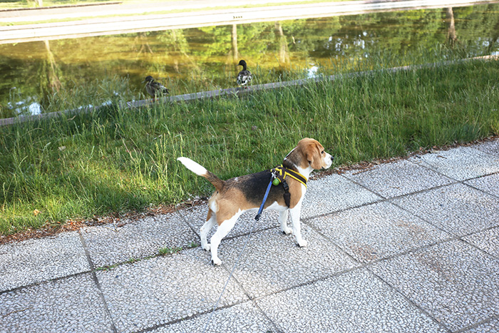 d0256800_8291126.jpg