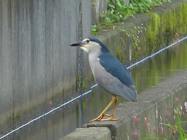 雨が続きます。_b0025101_23344065.jpg