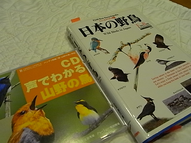 遠い国からやってきたの詩　７月１４日（月）　くもり_f0341616_737728.jpg