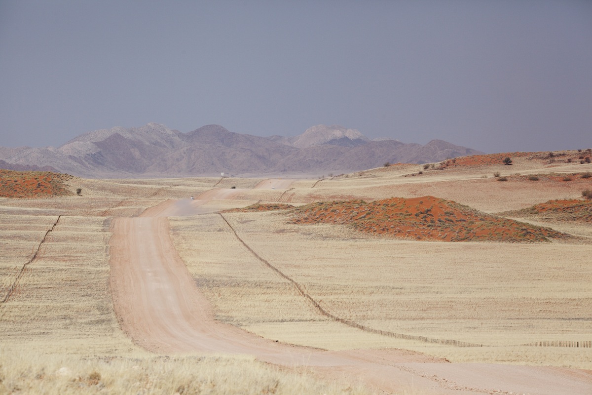 c0249519_8274022.jpg