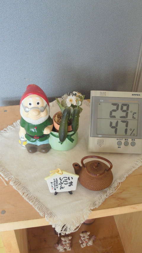 d0195024_16401354.jpg