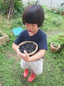 ブラックベリー_a0284626_167453.jpg