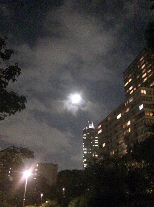 a0231828_01090027.jpg
