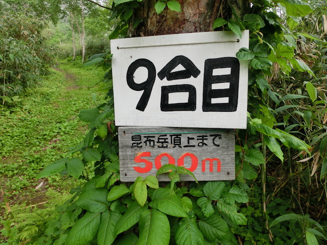 a0248232_21493217.jpg