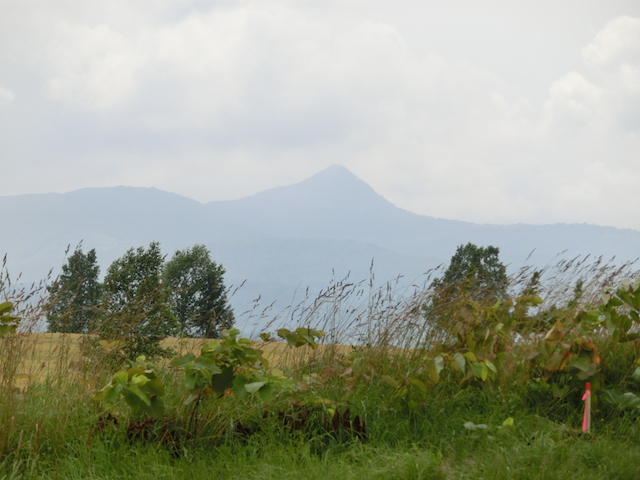 a0248232_21525393.jpg