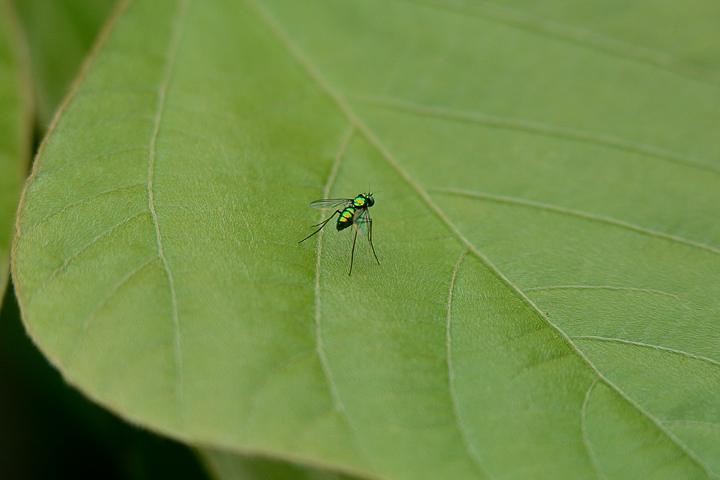 b0191934_23335675.jpg