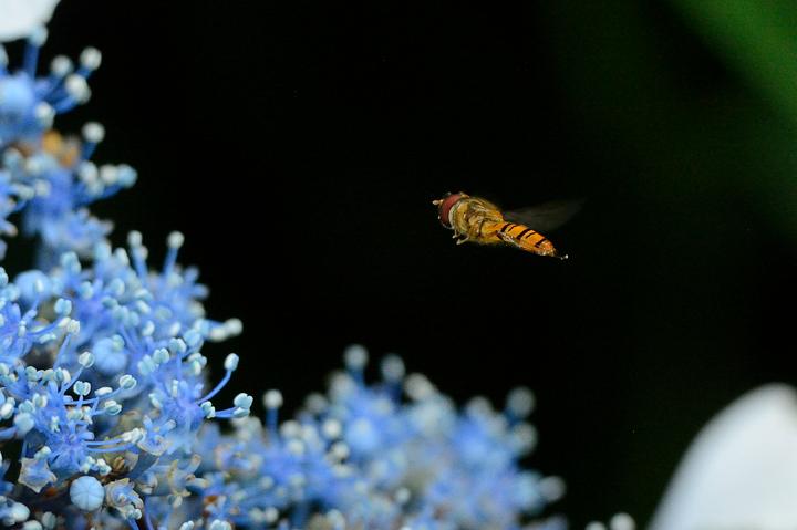 b0191934_23345739.jpg