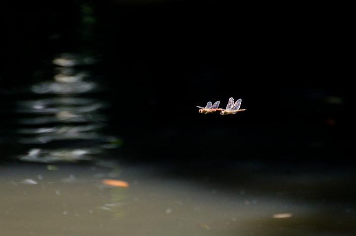 b0191934_23433383.jpg