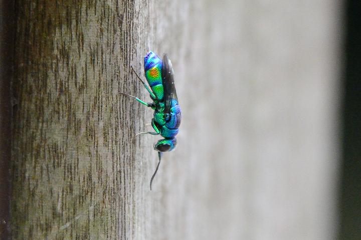b0191934_2343577.jpg