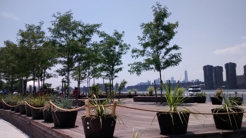 c0064534_903160.jpg