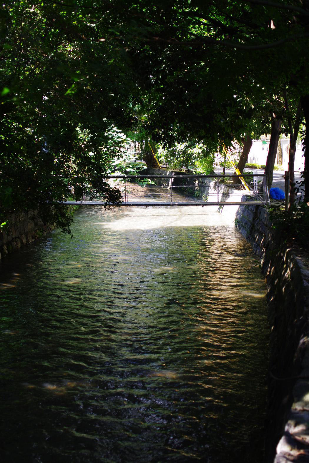 d0237340_2305083.jpg