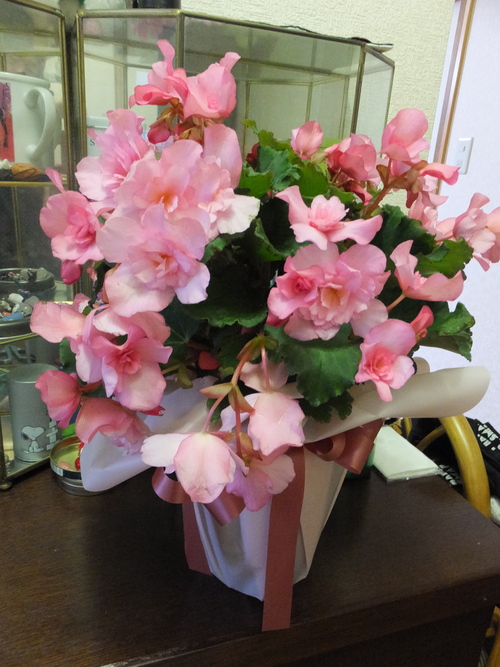 c0122744_034591.jpg