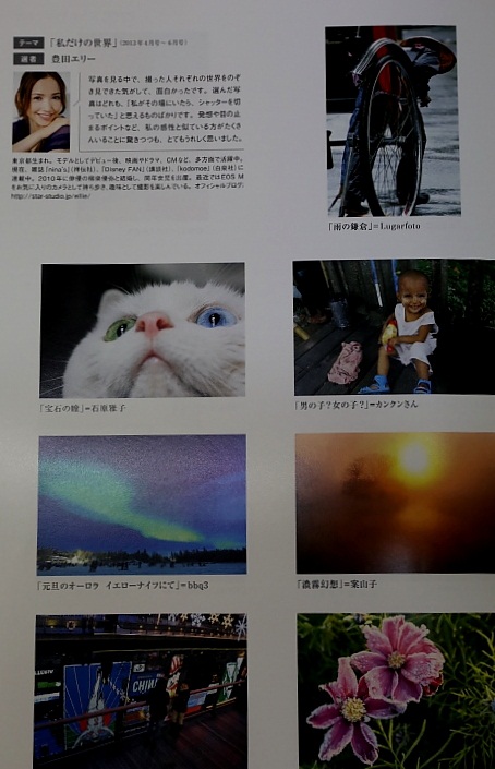 写真年鑑に載りました ♡猫_e0241944_11514196.jpg