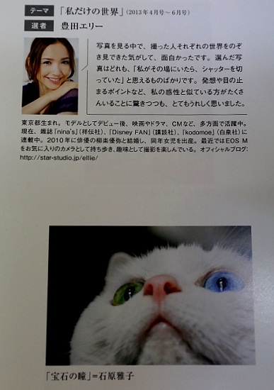 写真年鑑に載りました ♡猫_e0241944_11515559.jpg