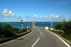 e0043548_1761031.jpg