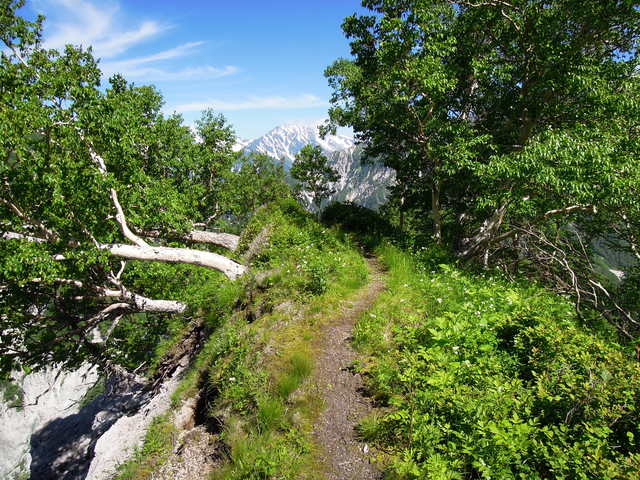 e0329049_19303197.jpg