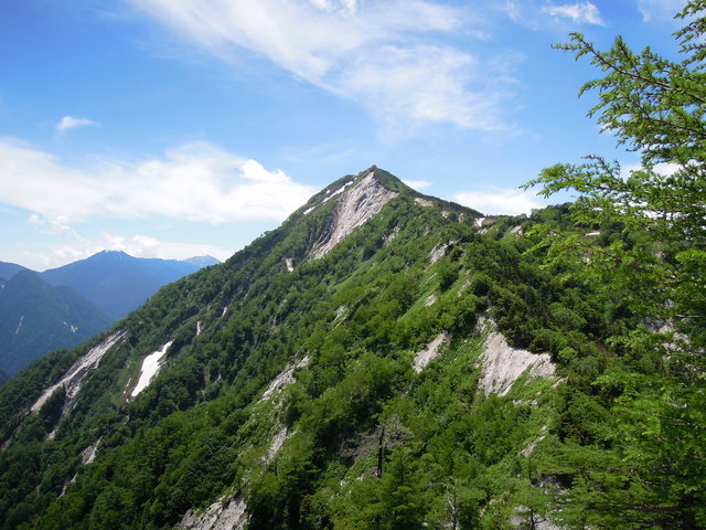 e0329049_19352753.jpg