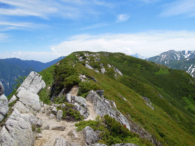 e0329049_19421625.jpg