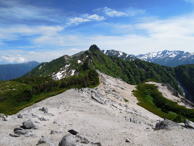 e0329049_2015562.jpg
