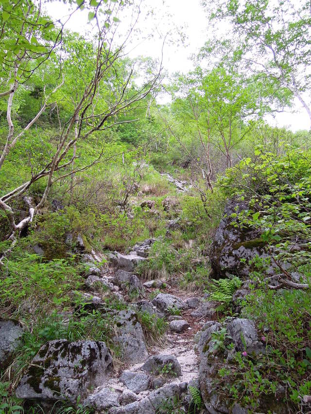 e0329049_20283530.jpg