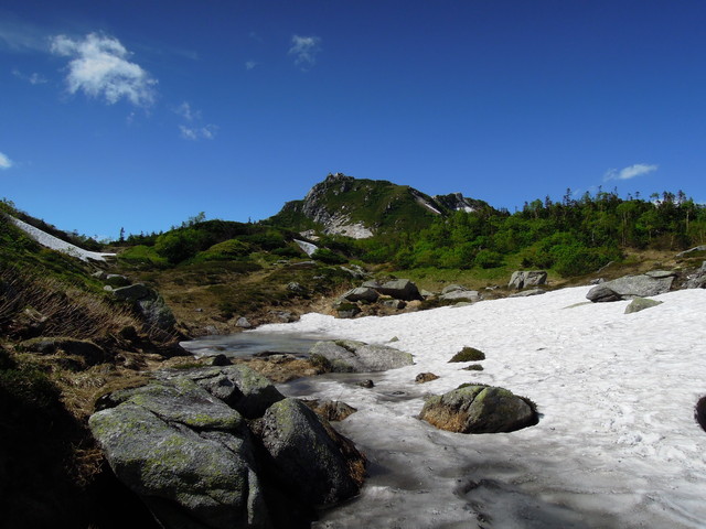e0329049_205250.jpg