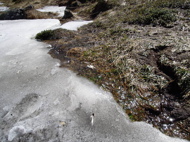 e0329049_2055873.jpg