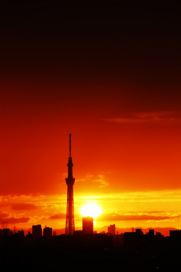 e0028650_17361360.jpg