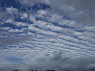e0138350_21363195.jpg