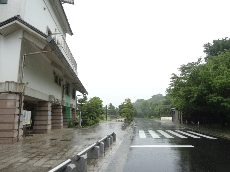平成26年7月度うみべの森を育てる会運営委員会 by (TATE-misaki)_c0108460_21291678.jpg