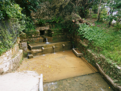 湧き水講座_c0180460_2522455.jpg