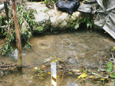 湧き水講座_c0180460_254567.jpg