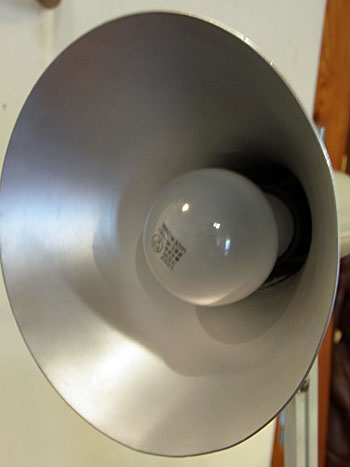 c0139773_18354180.jpg
