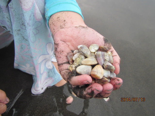 2014年7月13日　休日、　海水浴場　蓮池　カブトスカフェ_f0350477_12503717.jpg