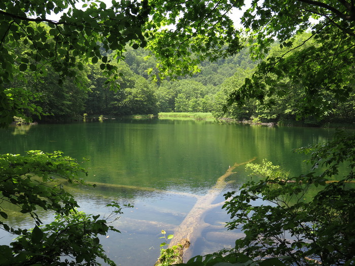 八甲田／Mt.Hakkoda_d0138986_18425196.jpg