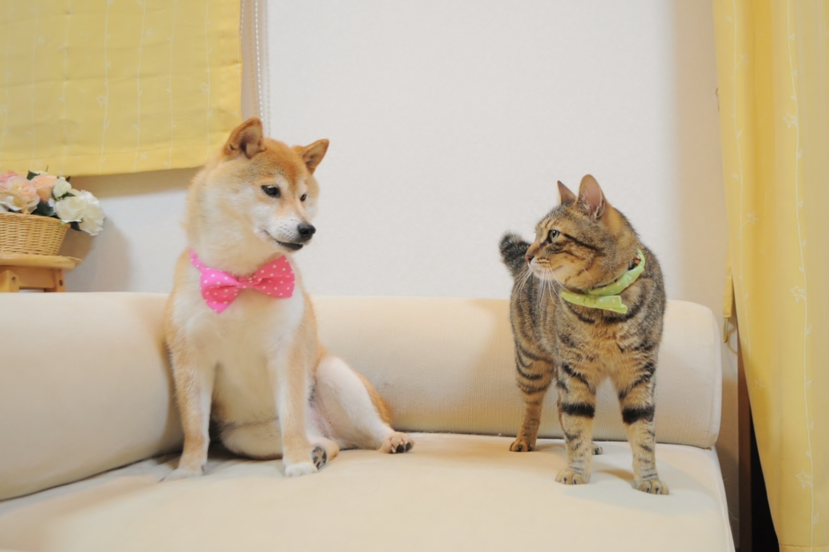 紫なつつじちゃん_a0126590_22363189.jpg