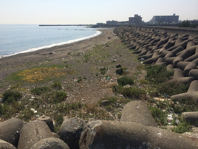 海_d0268290_7185826.jpg