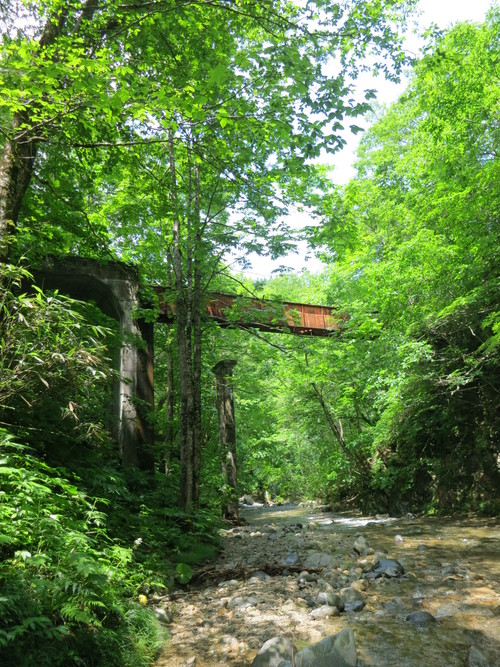 f0166390_2382273.jpg